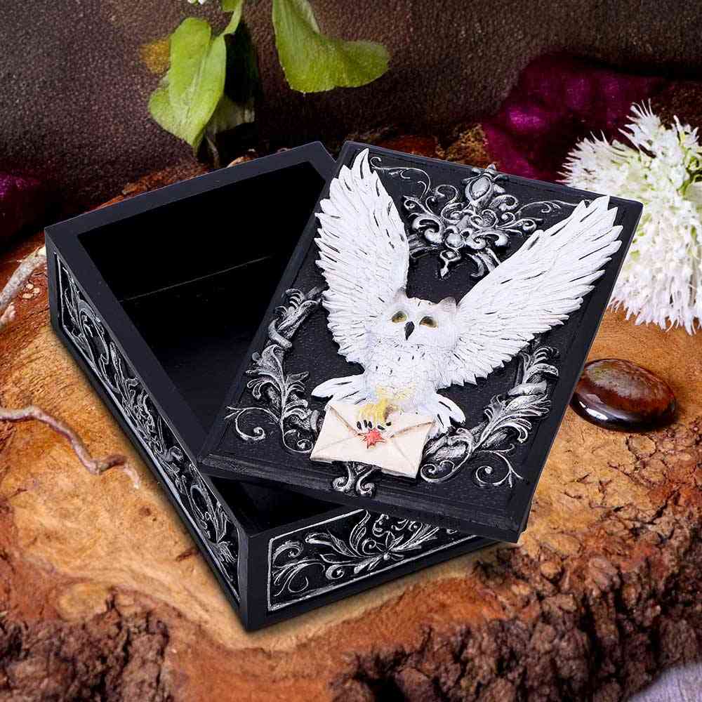 Nemesis Now - Owl Messenger Dekorative Schachtel - Mehrfarben